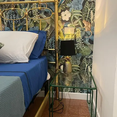 Design House Monti