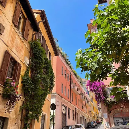 Design House Monti Rom