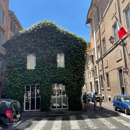Design House Monti
